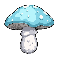ice frost mushroom  freshly picked