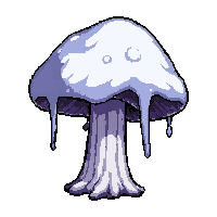 ice frost mushroom  poisonous dripping