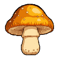 orange morel honeycomb  edible safe