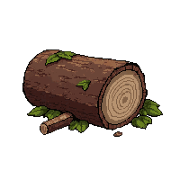 fallen log  broken half cracked