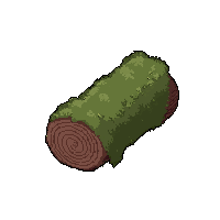 fallen log  moss covered