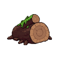 fallen log  newly built clean