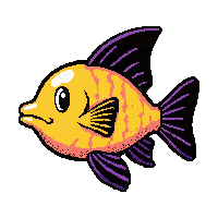 blowfish round  tropical bright neon