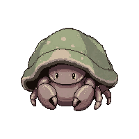 crab hermit shell  camouflage hidden