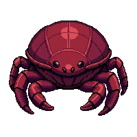 crab hermit shell  deep sea dark