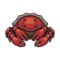 crab hermit shell  giant oversized