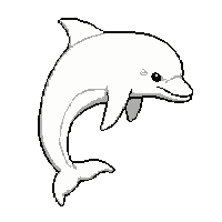 dolphin jumping  albino pure white