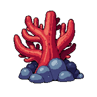 coral branch red  coral growing on