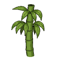 bamboo stalk  fully grown large