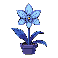 blue orchid  enchanted sparkle