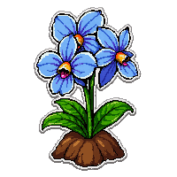 blue orchid  growing from soil