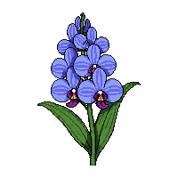 Blue Orchid  Wilting Dried — free pixel art sprite from Runner Plants
