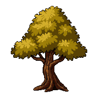 bonsai tree mini  autumn colors