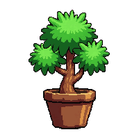 bonsai tree mini  potted in clay pot