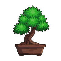 bonsai tree mini  wilting dried