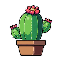 cactus succulent  blooming fresh
