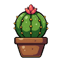 cactus succulent  enchanted sparkle
