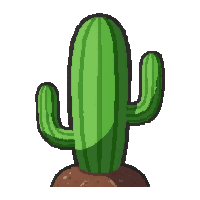 cactus succulent  fully grown large