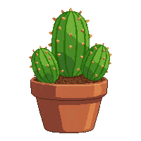 cactus succulent  potted in clay pot