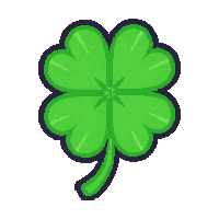 clover four leaf  blooming fresh