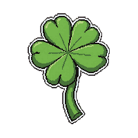 clover four leaf  growing from soil