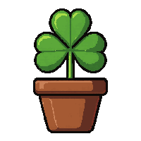 clover four leaf  potted in clay pot