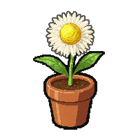 dandelion puff  potted in clay pot