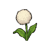 dandelion puff  tiny seedling