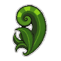 green fern frond  blooming fresh