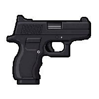 disruptor pistol  carbon black stealth