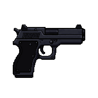 disruptor pistol  matte dark gunmetal