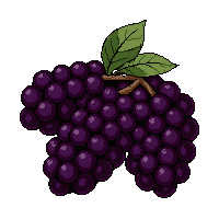 berry bush fruit  abundant pile