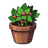 berry bush fruit  in clay pot