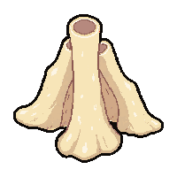 bone animal piece  abundant pile