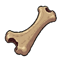 bone animal piece  damaged crumbling
