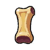 bone animal piece  raw unprocessed