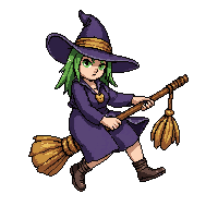 broomstick witch  ornate decorated