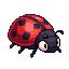 runvideos 207 ladybug
