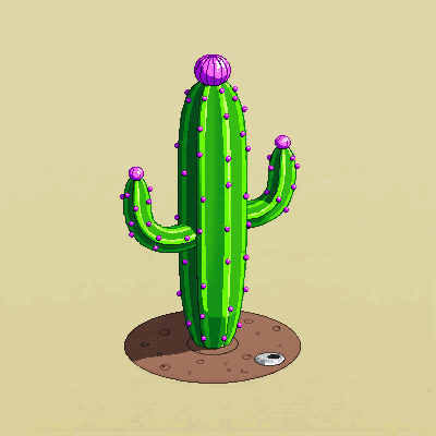 runvideos 94 cactus