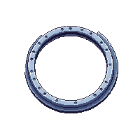 capacitor disc flat silver charged ring