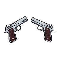 dual pistols two silver matching pair