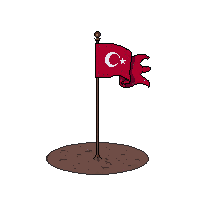 space flag planted