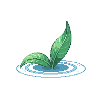 dew drop clear single leaf surface morning