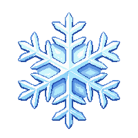 ice crystal snowflake white hexagonal detailed frozen