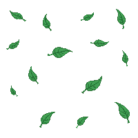 leaves blowing wind scattered green autumn flying