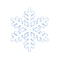 snowflake single white hexagonal detailed crystal