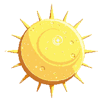 sun golden midday blazing hot intense peak