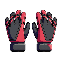 goalkeeper gloves  casual league