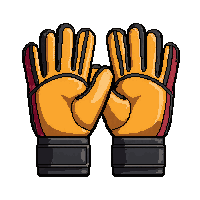 goalkeeper gloves  professional