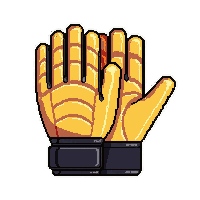 goalkeeper gloves  tournament grade